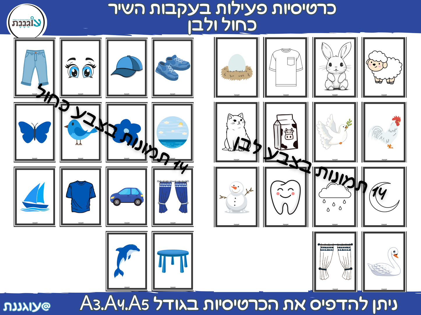 פעילות בעקבות השיר "כחול ולבן"