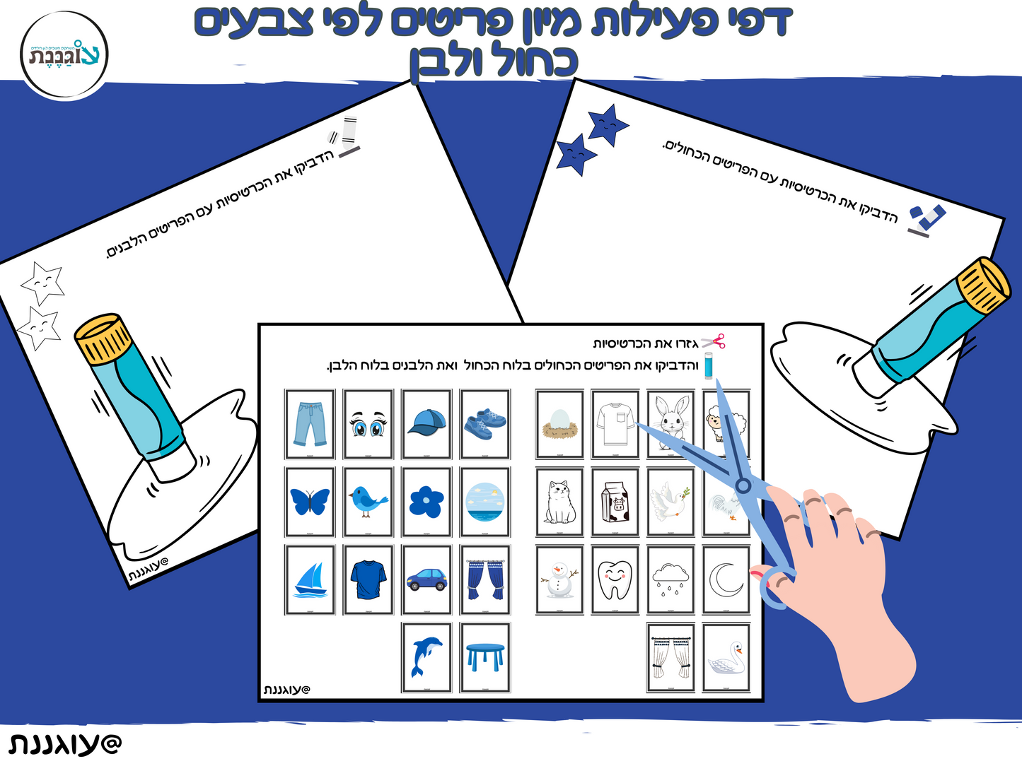 פעילות בעקבות השיר "כחול ולבן"